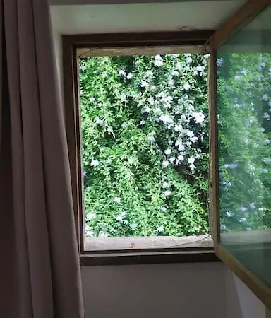 بيت للعطل Maison Avec Jardin Centre Historique