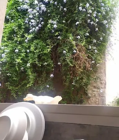 بيت للعطل Maison Avec Jardin Centre Historique *